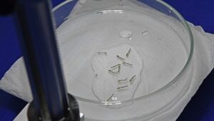MS confirma 17&ordf; morte por chikungunya e iguala total de 2025