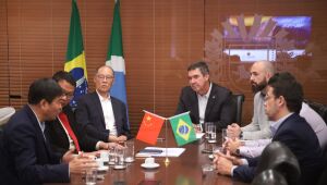 "Boom" da celulose atrai empresa chinesa para Tr&ecirc;s Lagoas 