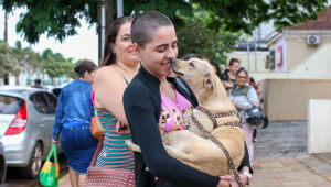 Fim de semana tem duas feiras de ado&ccedil;&atilde;o com 66 pets a espera de um lar