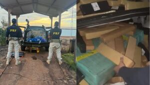 PRF persegue traficante aluno de medicina e apreende 569 kg de droga em MS