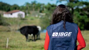  IBGE abre 284 vagas em MS para o Censo Agropecu&aacute;rio com sal&aacute;rios de at&eacute; R$ 4 mil