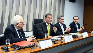 Nelsinho lidera debate sobre novo tarifa&ccedil;o dos EUA e pede diplomacia para evitar escalada da crise