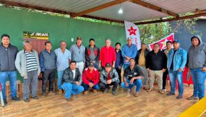 Grupo atribui invas&atilde;o de fazenda a ind&iacute;genas de direita em MS