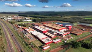 Frigor&iacute;fico Aurora eleva abate para 5 mil su&iacute;nos por dia em MS