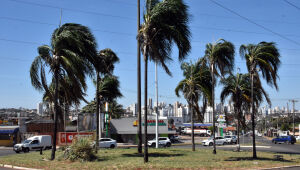 Empresa paulista reformar&aacute; rotat&oacute;ria da avenida Euler de Azevedo