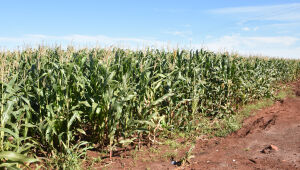 Escalada da inadimpl&ecirc;ncia leva governo a abrir renegocia&ccedil;&atilde;o bilion&aacute;ria para o agro