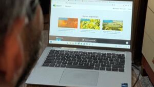 Plataforma d&aacute; cursos gratuitos de 'como cuidar do Pantanal'