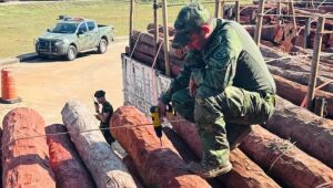 Ap&oacute;s laudo descartar coca&iacute;na, defesa de transportadora pede libera&ccedil;&atilde;o de carretas em MS