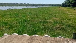 Tomada por plantas, usina libera &aacute;gua extra em plena estiagem 