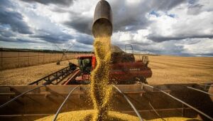 Previs&atilde;o de chuva nos EUA interrompe disparada no pre&ccedil;o da soja em MS