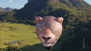 Bal&atilde;o em formato de on&ccedil;a-pintada estreia no c&eacute;u do Pantanal de MS