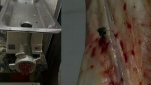 A&ccedil;ougue &eacute; interditado por produ&ccedil;&atilde;o irregular de carnes em Campo Grande