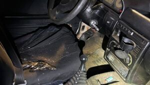 Homem tenta roubar carro de casal de policiais e morre durante confronto