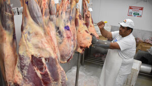 Alta da arroba chega ao consumidor e carne bovina sobe 11% neste ano