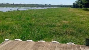 Polu&iacute;da por f&aacute;brica de celulose, &aacute;gua do Mimoso &eacute; impr&oacute;pria at&eacute; para pecu&aacute;ria