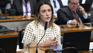 Fiscaliza&ccedil;&atilde;o mira R$ 17,4 milh&otilde;es de "emendas Pix" de Soraya P&aacute;g. 3
