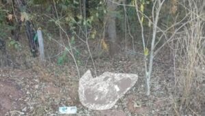 Homem &eacute; encontrado decapitado e com bra&ccedil;os amarrados em MS