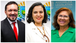 Lucas de Lima, Dione Hashioka e Gleice Jane lideram arrecada&ccedil;&atilde;o de campanha por vaga na Alems