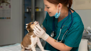 Essa semana celebramos o Dia do Veterin&aacute;rio, e a data acende alerta sobre a sa&uacute;de mental deles 