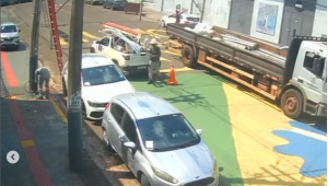 "Gato" encontrado em sarau LGBT+ era da Prefeitura, diz vereadora 