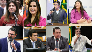 Bancada federal de MS ter&aacute; quatro mulheres, sendo duas estreantes na C&acirc;mara dos Deputados
