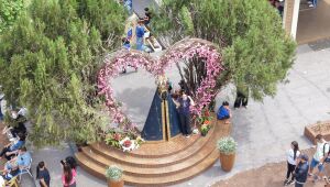 Romaria de Nossa Senhora Aparecida deve reunir 50 mil pessoas em Dourados