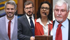 Bancada petista ser&aacute; a maior dos &uacute;ltimos 15 anos em MS 