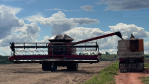 Grupo do agro com d&iacute;vida de R$ 54,6 milh&otilde;es ter&aacute; plano decisivo votado em MS