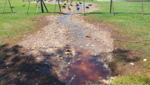 Frigor&iacute;fico em Sidrol&acirc;ndia ser&aacute; investigado por vazar v&iacute;sceras em fazenda
