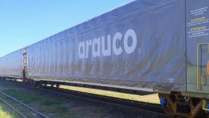 Arauco ganha aval para usar ferrovia e levar celulose de MS a Santos