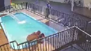 Homem &eacute; morto a tiros dentro de piscina durante festa em Campo Grande

