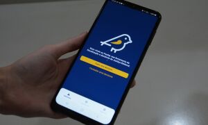 Pardal passa a receber den&uacute;ncias de propaganda eleitoral irregular a partir do dia 16