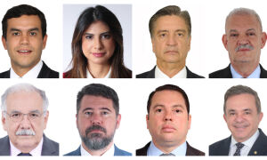 Por unanimidade, deputados federais de MS votam a favor da PEC da Seguran&ccedil;a P&uacute;blica