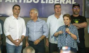 Tereza Cristina descarta ser vice e diz que vai buscar a presid&ecirc;ncia do Senado