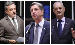 A cada elei&ccedil;&atilde;o, MS troca metade de sua bancada no Congresso