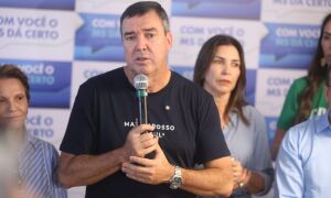Riedel defende Tereza Cristina como vice de Fl&aacute;vio Bolsonaro