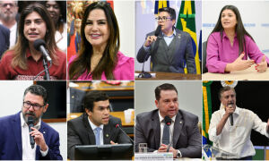 Bancada federal de MS ter&aacute; quatro mulheres, sendo duas estreantes na C&acirc;mara dos Deputados