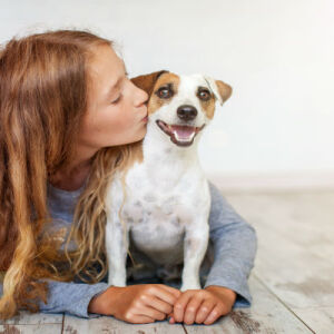 Ondas de Calor Extremo Afetam Animais de Estimação no Brasil