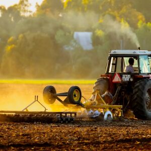 Campo Grande alcanza valor de producción agrícola de 1.026 millones de reales y diversifica sus cultivos