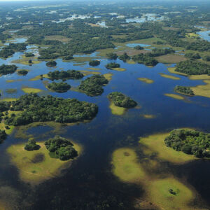Pantanal: enfrentar mudanças climáticas depende de outros cinco biomas