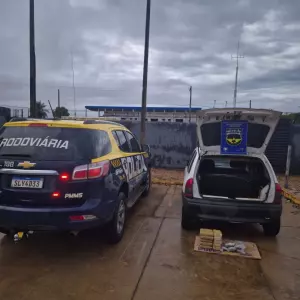 Apreensão de 14 kg de drogas causa prejuízo de R$ 316 mil ao tráfico