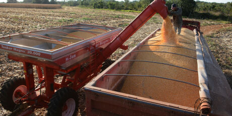 Pre&ccedil;o do frete cai com fim da colheita da safrinha em Mato Grosso do Sul