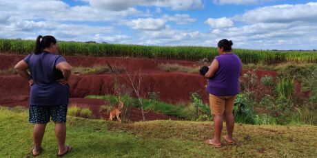 Minist&eacute;rio assina R$1 milh&atilde;o contra agrot&oacute;xicos ap&oacute;s morte de beb&ecirc;s em MS