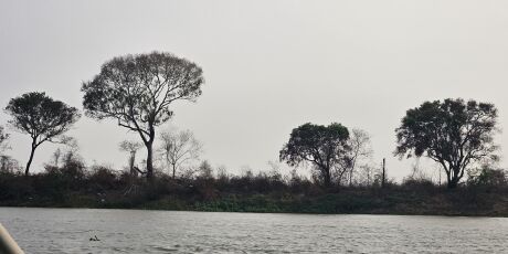 Em seca extrema, fogo aumentou 107% em agosto no Pantanal