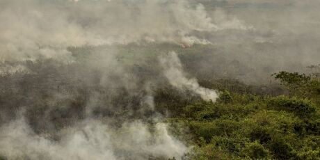 Em oito meses, Pantanal chega a 1 milhão de hectares consumidos pelos incêndios