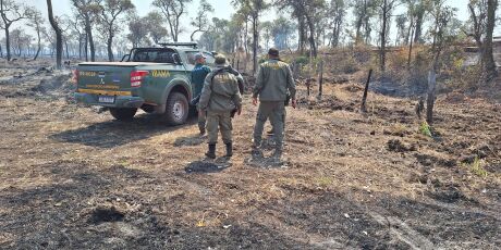 Pantanal tem o maior número de multas ambientais em 4 anos