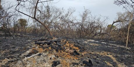 Governo federal triplica valor  de multas em casos de incêndios