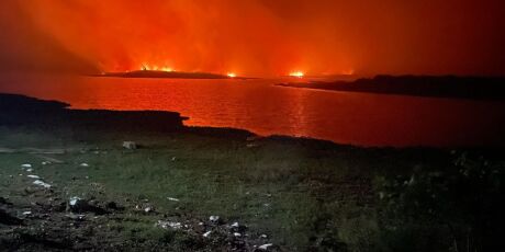 Área de recuperação no Pantanal dos incêndios de 2020 são destruídas por 4 horas de fogo