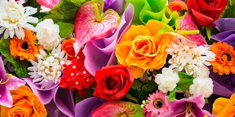 Em Campo Grande, pre&ccedil;o das flores pode variar em at&eacute; quatro vezes no Dia das Mulheres