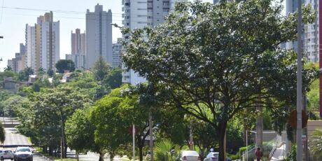 Campo Grande é a terceira cidade mais segura em ranking nacional